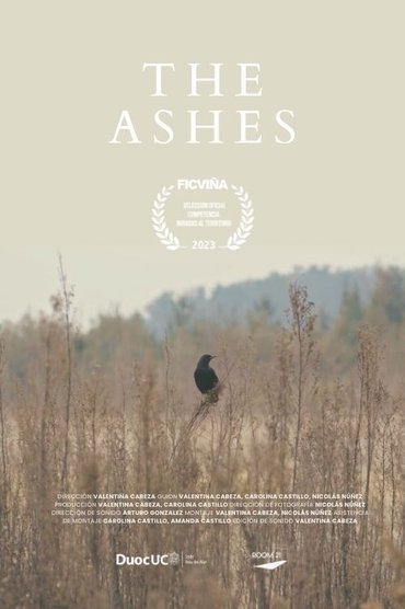 The Ashes