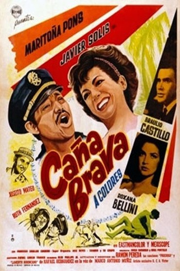 Caña brava