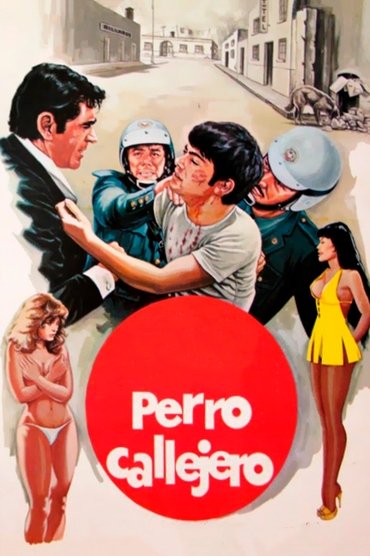 Perro callejero