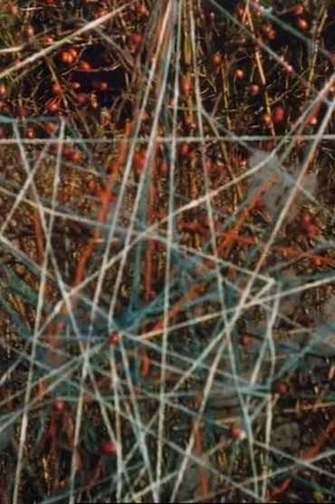 Toying with Strings