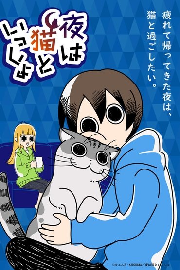 Nights with a Cat