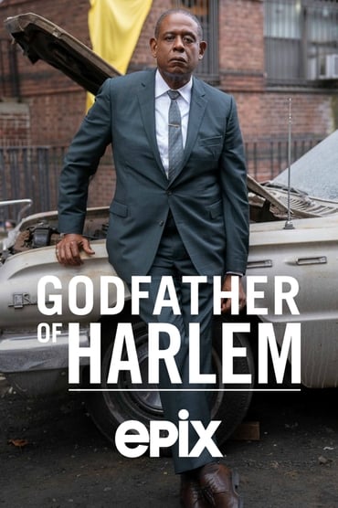 Regarder Godfather of Harlem Saison 1 en Streaming