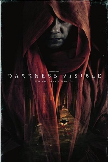 Oscuridad visible (2019)