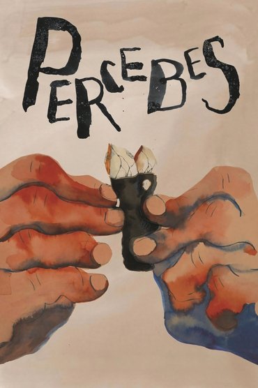 Percebes