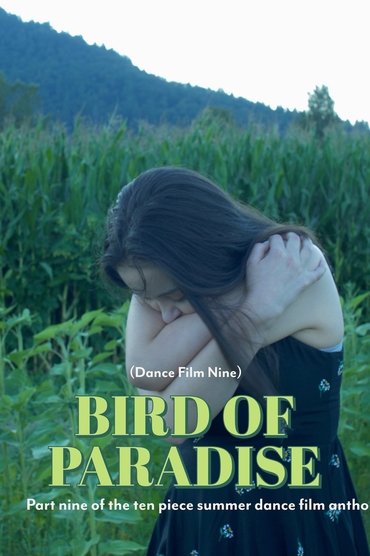 Bird of Paradise - Dance Film Nine