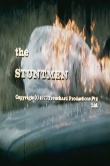 The Stuntmen