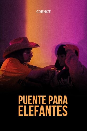 Puente Para Elefantes