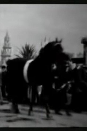 Horse Parade at the Pan-American Exposition