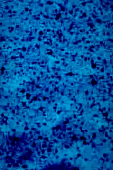 BLAUFILM