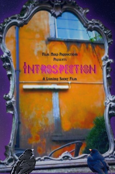 Introspection