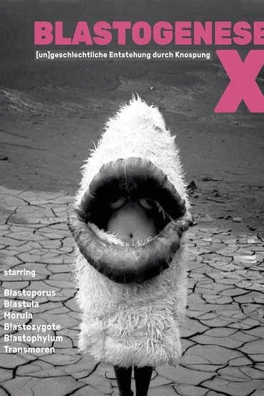 Blastogenesis X