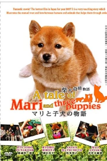 A Tale of Mari and Three Puppies