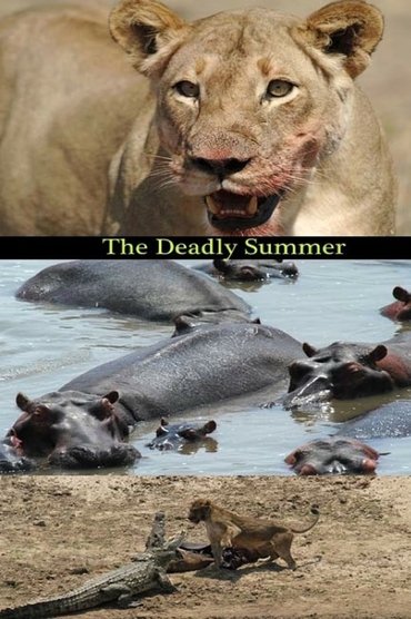 Deadly Summer