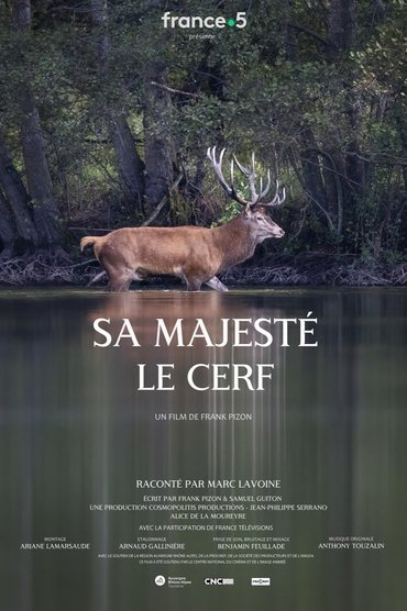 Sa majesté le cerf