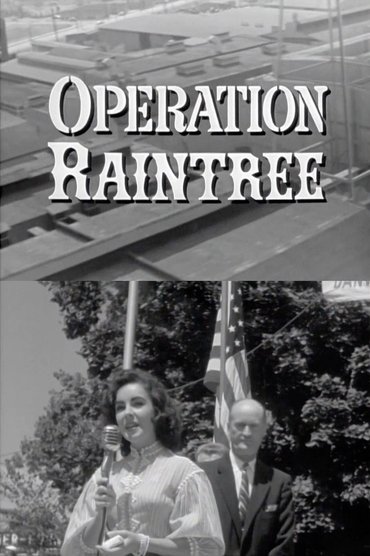 Operation Raintree