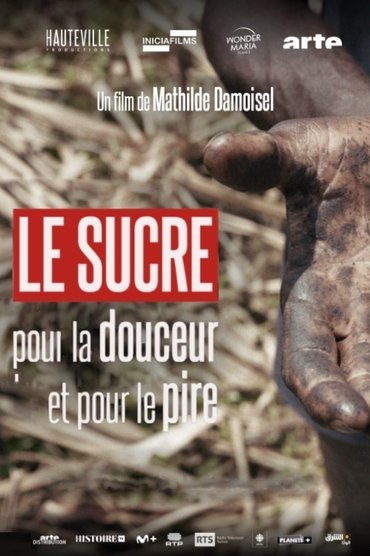Le sucre, pour la douceur et pour le pire