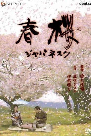 Cherry Blossoms in Spring