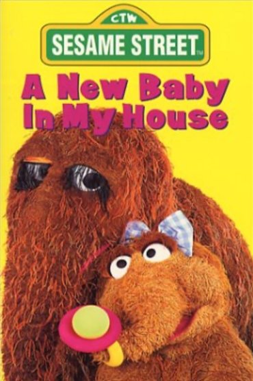 Sesame Street: A New Baby In My House