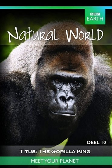Titus: The Gorilla King