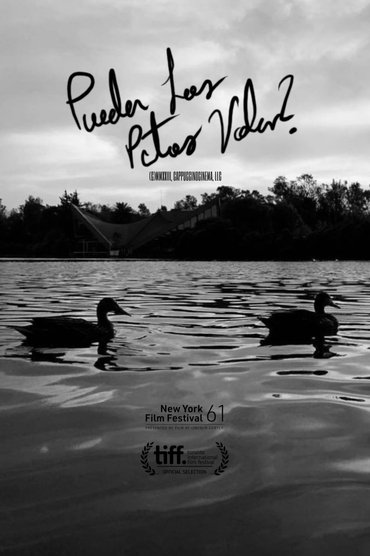 Can Ducks Fly?