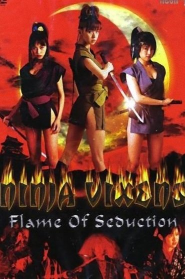 Ninja Vixens: Flame of Seduction