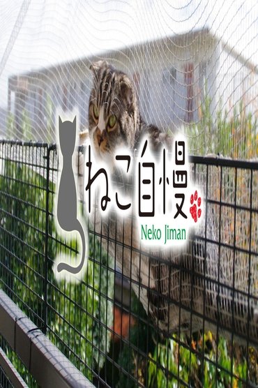 ねこ自慢