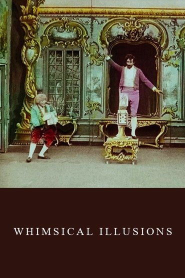 Whimsical Illusions