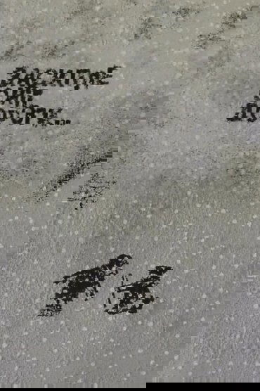 Snow Will Cover the Roads