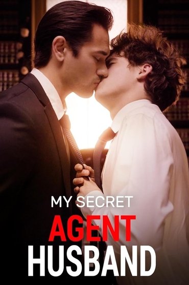 My Secret Agent Husband