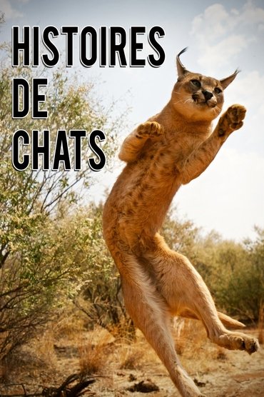 The Story of Cats
