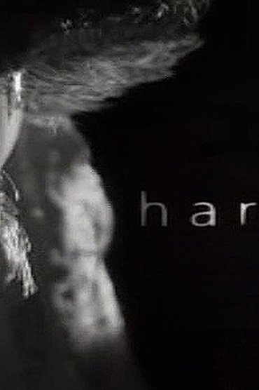 Harvey
