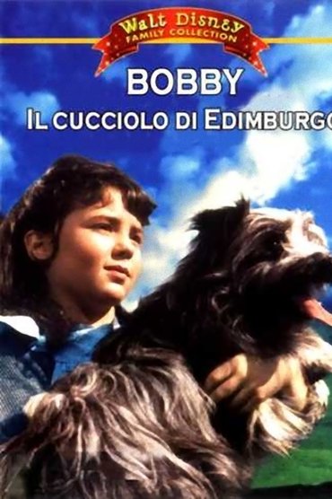Kiss Me Before It Blows Up Streaming Kiss Me Before It Blows Up streaming ITA film HD