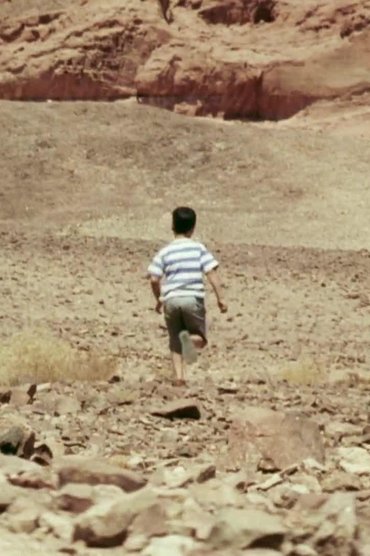 Bedouin Sand