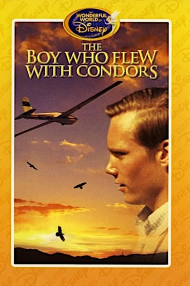 The Boy Who Flew with Condors