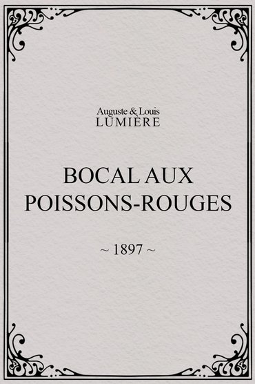 Bocal aux poissons rouges