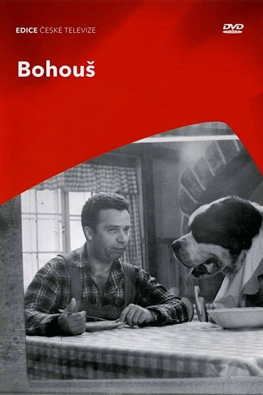 Bohous