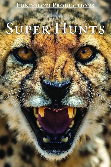 Super Hunts, Super Hunters