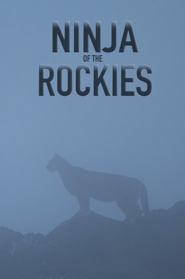 Ninja të Rocky-t