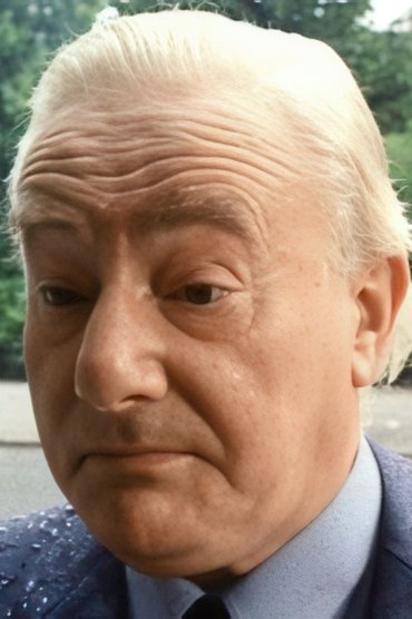 Wim van den Brink