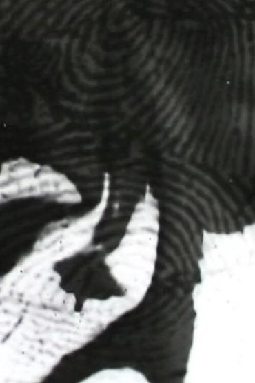 A Rough History (of the destruction of fingerprints)
