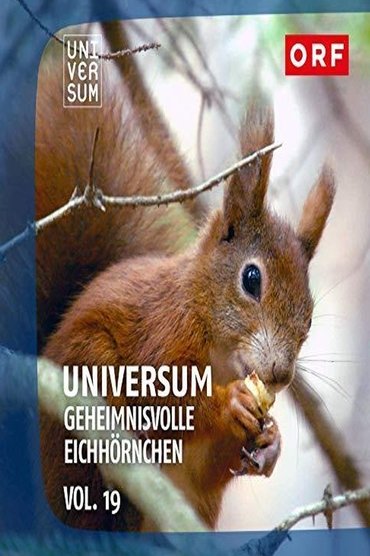 Geheimnisvolle Eichhörnchen