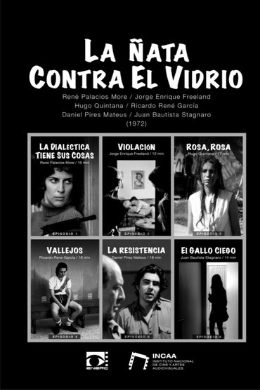 La ñata contra el vidrio