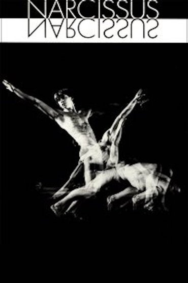 Narcissus