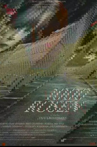 1,000 Roses