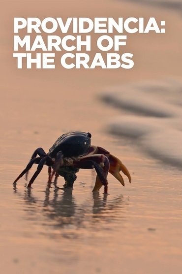 Providencia March of the Crabs