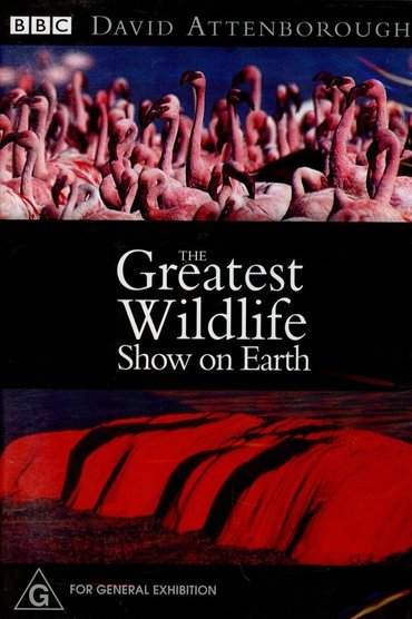 The Greatest Wildlife Show on Earth