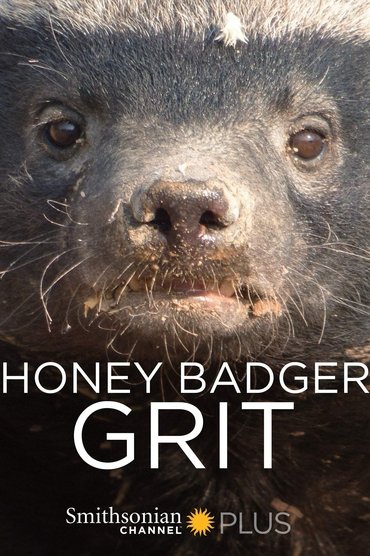 Honey Badger: Grit
