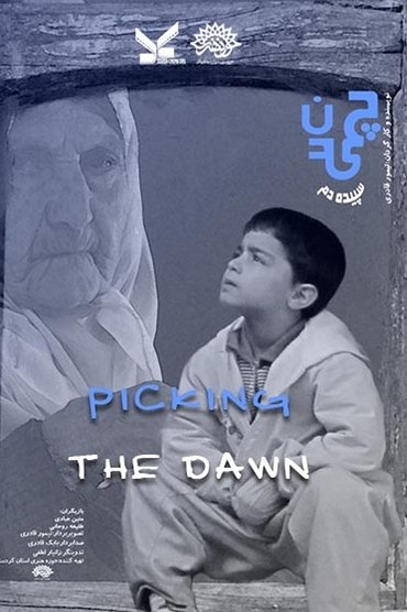 Picking the Dawn