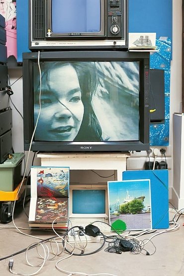 Björk: Vessel 1994