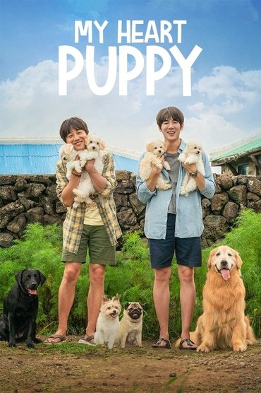 My Heart Puppy